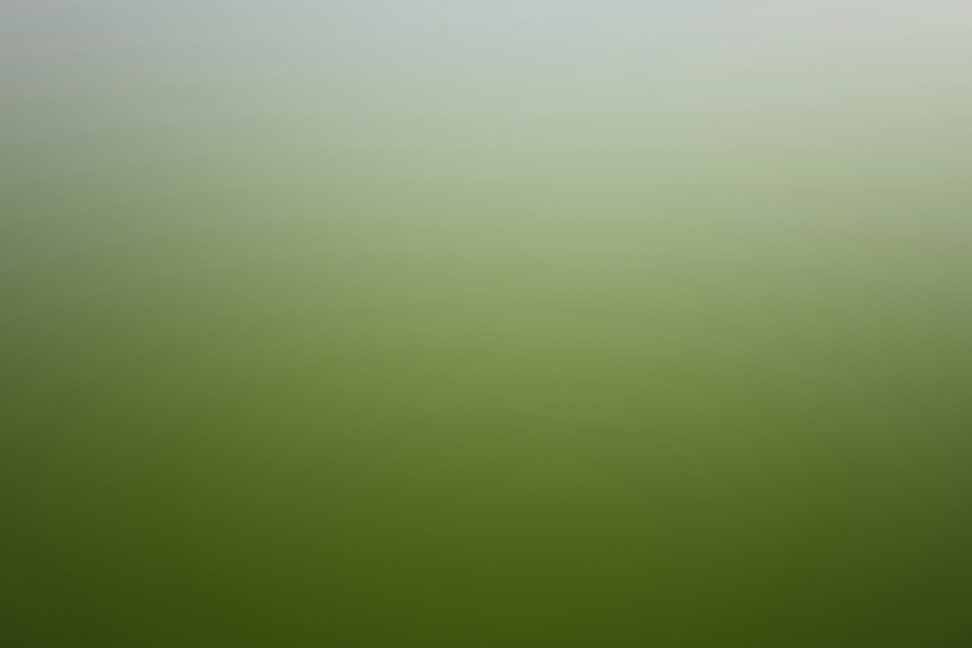 mur peint en vert et blanc